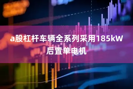 a股杠杆车辆全系列采用185kW后置单电机