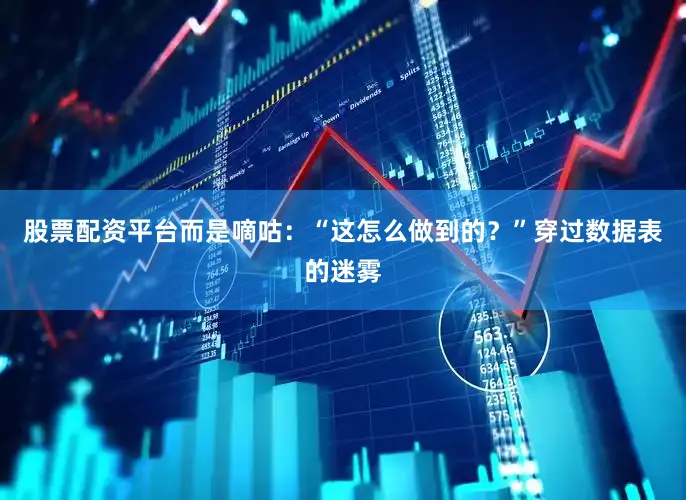 股票配资平台而是嘀咕：“这怎么做到的？”穿过数据表的迷雾