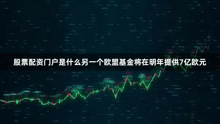 股票配资门户是什么另一个欧盟基金将在明年提供7亿欧元