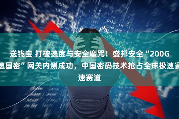 送钱宝 打破速度与安全魔咒！盛邦安全“200G极速国密”网关内测成功，中国密码技术抢占全球极速赛道