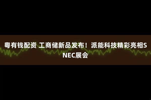 粤有钱配资 工商储新品发布！派能科技精彩亮相SNEC展会