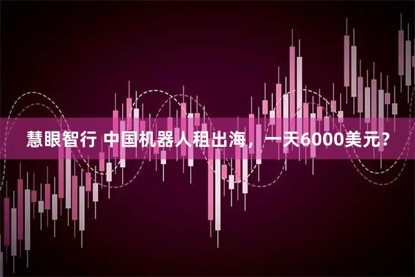慧眼智行 中国机器人租出海，一天6000美元？