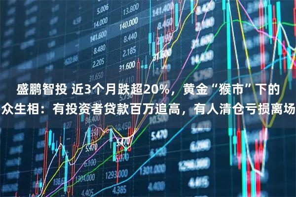 盛鹏智投 近3个月跌超20%，黄金“猴市”下的众生相：有投资者贷款百万追高，有人清仓亏损离场
