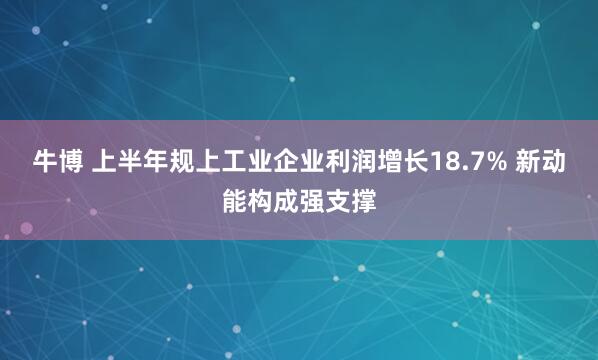 牛博 上半年规上工业企业利润增长18.7% 新动能构成强支撑