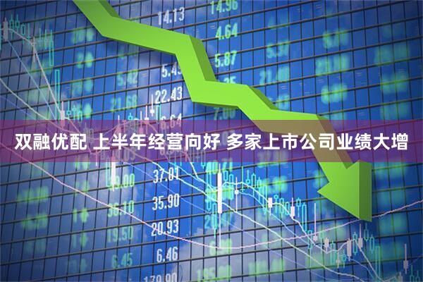 双融优配 上半年经营向好 多家上市公司业绩大增